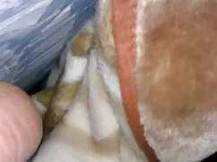 Eski en iyi real amator porno arkadaşlar